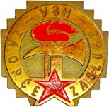 VM 2011
